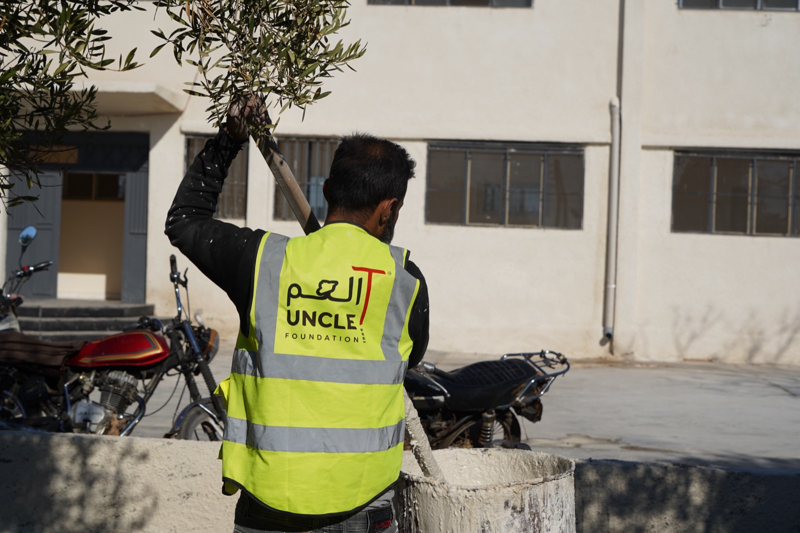 An Uncle T worker planting an olive tree in a restored school's grounds